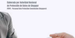 Guía y Herramienta básica de anonimización