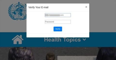 Figure 2. Following the link of the example in figure 1, you are asked to verify your e-mail for information, and they seize the opportunity to steal your credentials